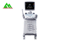 Klinik-medizinische Ultraschall-Gerät-Diagnoseultraschall-Scanner-Maschine fournisseur